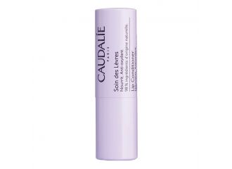 Caudalie stick labbra 2022 4,5 g